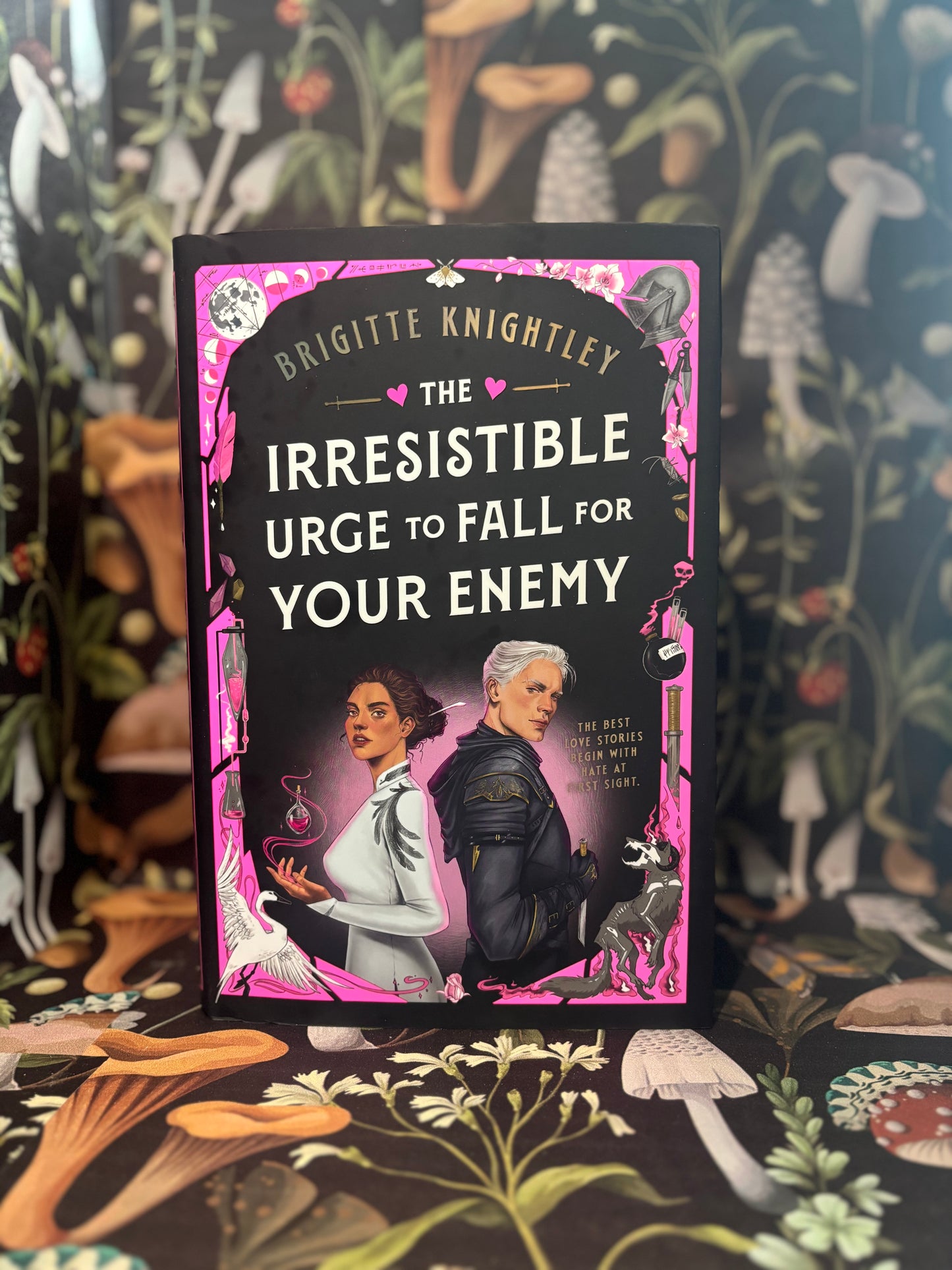The Irresistible Urge to Fall For Your Enemy by Bridgitte Knightley