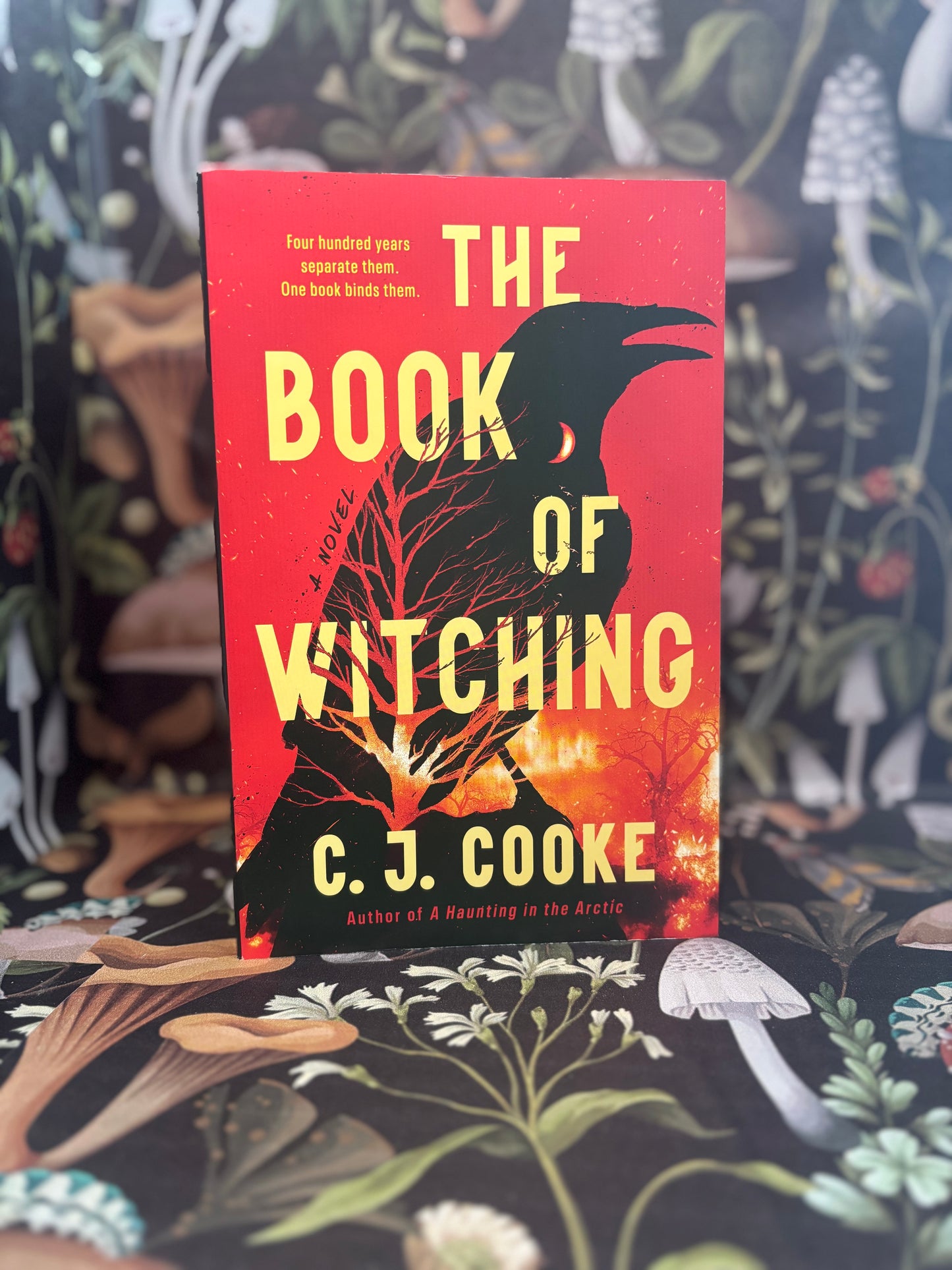 The Book of Witching by C.J. Cooke