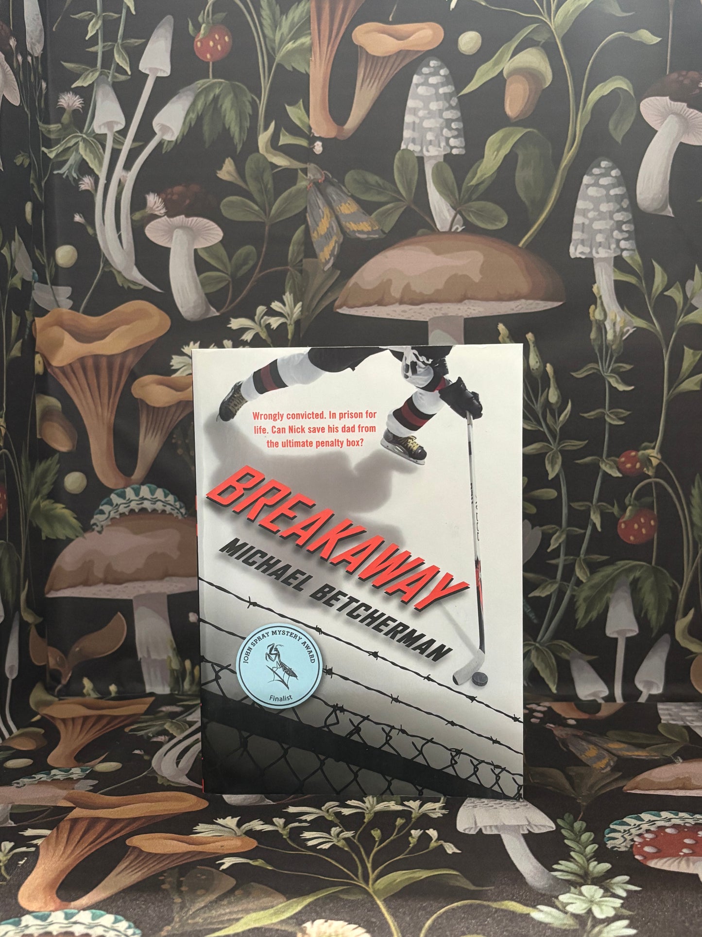 Breakaway by Micheal Betcherman